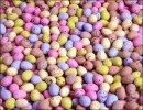 Eggs 4 Easter