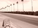 Orange Grove
