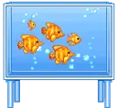 swiming