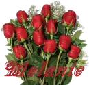 I Love You Roses