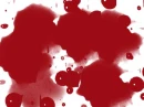 sangre