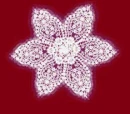 flor