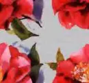 Alabama State Flower