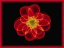 florneon