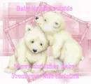 2 polar bears