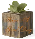 Have A nice Day