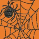 Spider wed