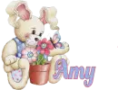 Bunnyflwerbutrflyamy