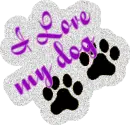 I Love my Dog