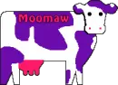 MoomawCow2