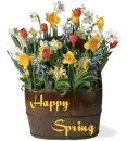Happy Spring