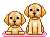 cute pupps