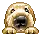 pupp