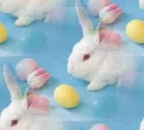easter bunny
