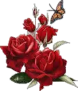 Red Roses w/Butterfly