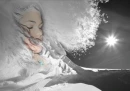 frosted dream