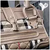 Burberry Purse
