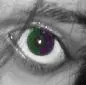 Purple-Green Eye