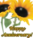 Happy Anniversary