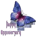 Happy Anniversary