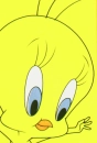 tweety
