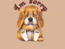 im sorry