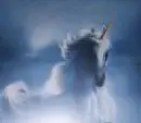 unicorn