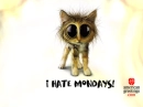 Monday Hating Cat