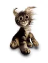 Windy