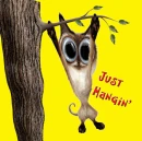 hanging cat