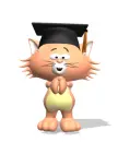 jumping cat