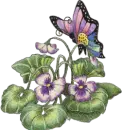 Butterfly
