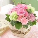 roses