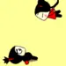 Pucca