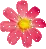 pink flower