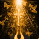butterfire2