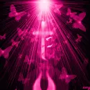 butterfire3