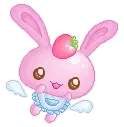 rabbit