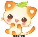 kitty
