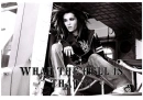 bill XD