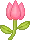 tulip
