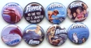 Flipper