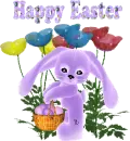 bunny