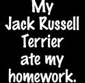 Jack Russell Terrier Ate My Homework