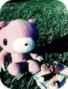 gloomy bear