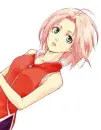 sakura