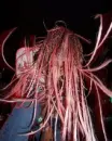 lex with pink hair
