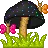 shroom
