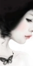 BLACK BUTTERFLY