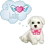 cute puppy